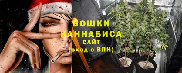 мяу мяу мука Вязьма