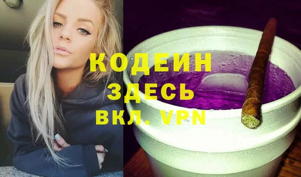 МДПВ Вяземский