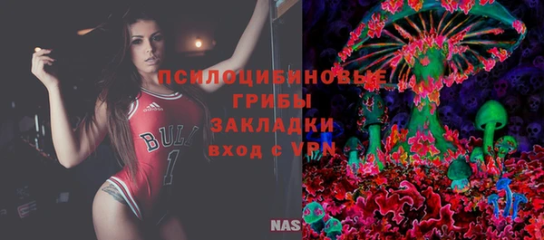 МДПВ Вяземский