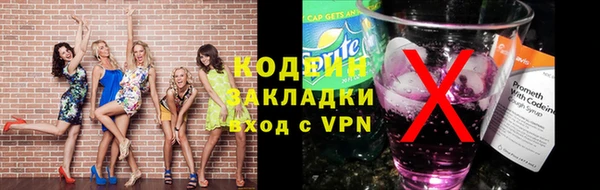 МДПВ Вяземский